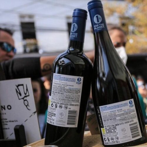 Noche de Vinos de Vendimia