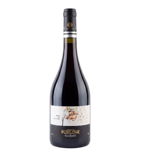 Malbec Viento Puelche, Casa Romero